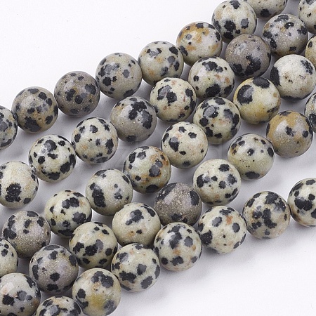 Natural Dalmatian Jasper Stone Bead Strands X-G-R193-14-8mm-1