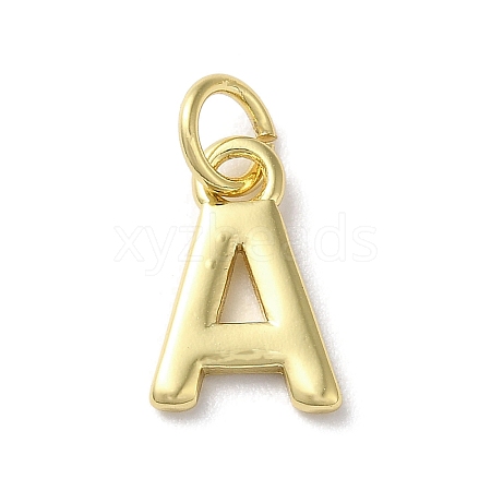 Rack Plating Brass Charms KK-P245-06G-A-1