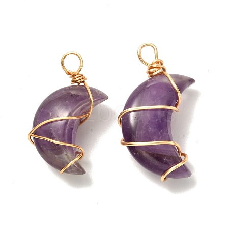 Natural Amethyst Pendants PALLOY-JF00931-01-1