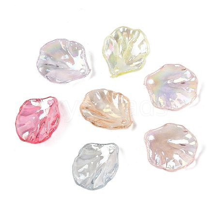 Transparent Acrylic Pendants TACR-F009-08-1