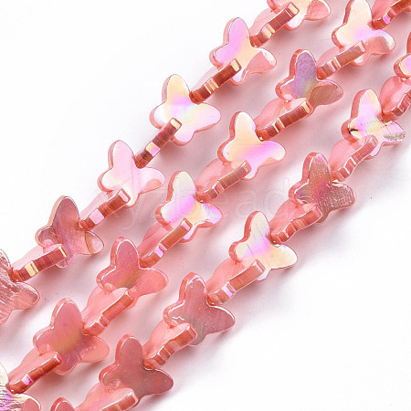 Natural Freshwater Shell Beads Strands SHEL-N026-206C-1