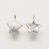 925 Sterling Silver Charms STER-K029-12MS-2