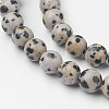 Natural Dalmatian Jasper Bead Strands G-G735-68-6mm-3