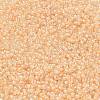 MIYUKI Round Rocailles Beads SEED-G007-RR0282-2