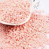 Opaque Colours Glass Seed Beads SEED-A033-06C-1