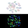 Luminous Resin Decoden Cabochons RESI-K036-16-1