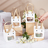 Paper Gift Bags ABAG-WH0044-37-3