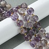 Natural Amethyst Beads Strands G-Q010-A06-01-2