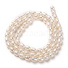 Natural Cultured Freshwater Pearl Beads Strands PEAR-L033-59-3