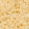 Glass Seed Beads SEED-H002-H-1308-3