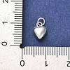 925 Sterling Silver Pendants STER-P057-07B-S-3