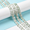 Natural Myanmar Jade Beads Strands G-C238-16A-2