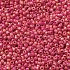 TOHO Round Seed Beads SEED-JPTR11-0405F-2