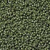 MIYUKI Delica Beads SEED-X0054-DB0391-3