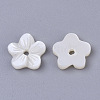 Natural Freshwater Shell Beads SHEL-T017-04-2