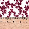Glass Seed Beads SEED-A033-03A-02-4