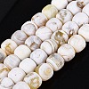 Natural Fire Crackle Agate Beads Strands G-Q606-94A-2