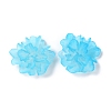 Transparent Resin Cabochons RESI-G027-01D-2