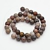 Natural Petrified Wood Round Beads Strands G-P101-01-10mm-2