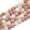 Natural Sunstone Beads Strands G-K310-C08-10mm-1