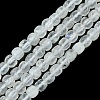 Natural Rainbow Moonstone Beads Strands G-F748-Z01-02-2