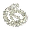 Transparent Glass Beads Strands EGLA-D030-03C-2