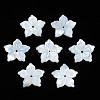 Natural White Shell Beads SSHEL-N027-131A-01-1