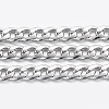 Non-Tarnish 3.28 Feet 304 Stainless Steel Curb Chains X-CHS-H016-01P-10M-1