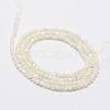 Natural White Shell Beads X-G-N0190-11-2mm-3