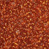 8/0 Glass Seed Beads X2-SEED-A005-3mm-29-2