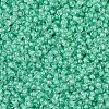 MIYUKI Round Rocailles Beads SEED-JP0008-RR0219-3