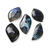 Natural Labradorite Cabochons G-B085-05-1