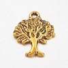 Tibetan Style Alloy Pendants GLF10394Y-1