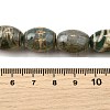 Tibetan Style dZi Beads Strands G-S389-A01-5