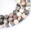 Natural Zebra Jasper Round Bead Strands G-E334-4mm-11-1