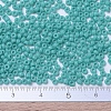MIYUKI Round Rocailles Beads SEED-G007-RR0412-4
