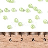 Glass Seed Beads SEED-T007-01L-4