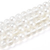 Baking Paint Transparent Glass Beads Strands DGLA-N011-10mm-01-1