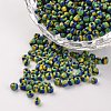 8/0 Opaque Colours Seep Glass Beads X-SEED-M007-09-1