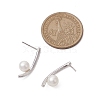 Natural Pearl Ear Studs EJEW-P286-52P-3