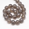 Natural Grey Agate Beads Strands G-G580-12mm-08-2