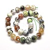 Dyed Natural Agate Faceted Round Beads Strands G-E269-03-3