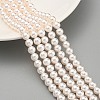 Glass Pearl Beads Strands HY-G002-01C-03-2
