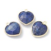 Natural Lapis Lazuli Pendants X-G-B009-03G-C-1