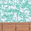 MIYUKI Delica Beads SEED-X0054-DB0627-4