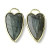 Natural Labradorite Pendants G-O204-02F-1