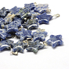 Star Natural Blue Spot Jasper Pendants G-Q367-17-1