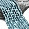 Eco-Friendly Grade A Glass Pearl Beads HY-J002-6mm-HX084-4