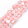 Natural Trochid Shell/Trochus Shell Beads Strands SSHEL-N032-49-A05-1