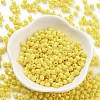 Baking Paint Glass Seed Beads SEED-A032-02E-2